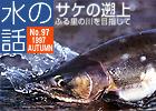 水の話-特集サケの遡上