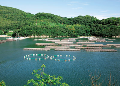 養殖の風景