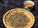 スギナ茶
