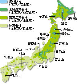 植物分布図