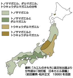 分布図