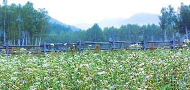 開田村の風景