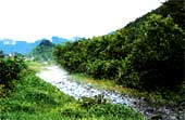 開田村の風景