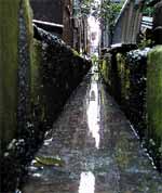 大野市の背割水路