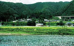 八幡町の集落