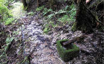 馬のための水飲み場