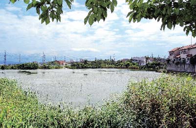 池