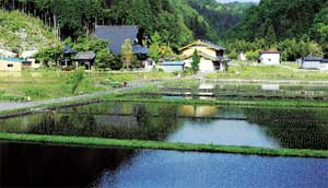 矢田