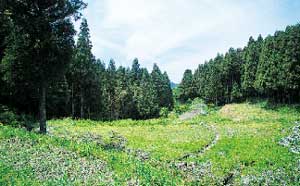 里山の風景