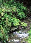 一斗俵(いっとひょう)沈下橋
