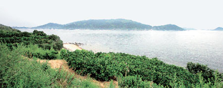 瀬戸内海