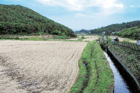 農業用水