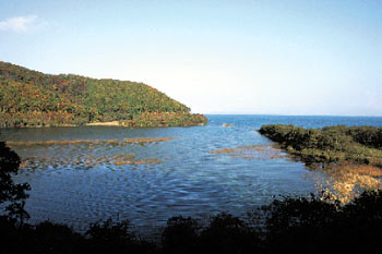 鬼沼