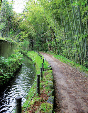 辰巳用水遊歩道