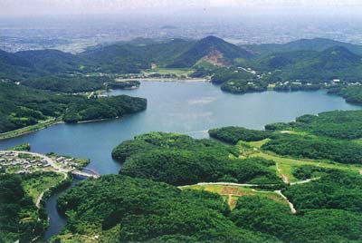 入鹿池の全景