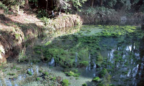 白川水源