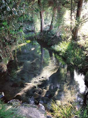 竹崎水源