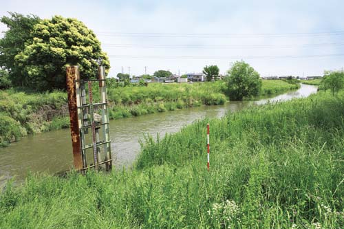 畷（なわて）橋付近の綾瀬川