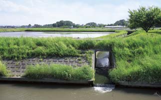 田んぼからの排水