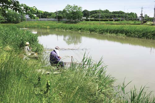 フナ釣りを楽しむ人