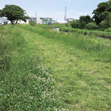 白川に合流する黒川