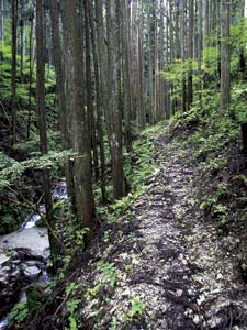 中馬街道