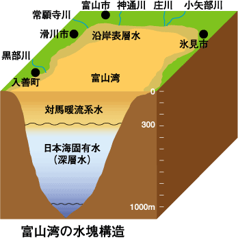 富山湾の水塊構造