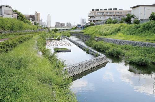 浄化実験