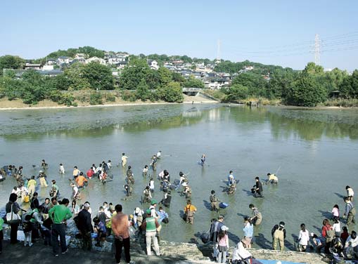 池干し3
