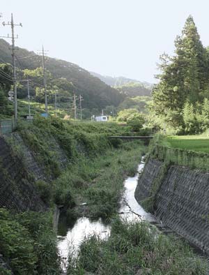 自然に近い状態の水質になった川