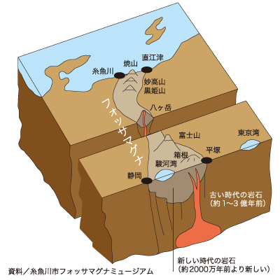 フォッサマグナ断面図