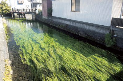 水流