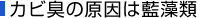 カビ臭の原因は藍藻類