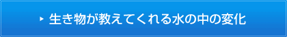 生き物が教えてくれる水の中の変化