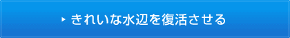 きれいな水辺を復活させる