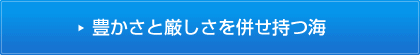 豊かさと厳しさを併せ持つ海