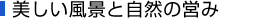 美しい風景と自然の営み