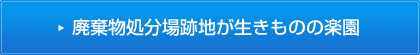 廃棄物処分場跡地が生きものの楽園