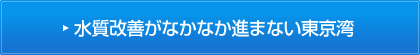 水質改善がなかなか進まない東京湾