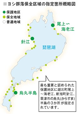 ヨシ群落保全区域の指定箇所概略図