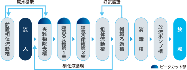 PCN型 51~250人槽浄化槽の処理工程