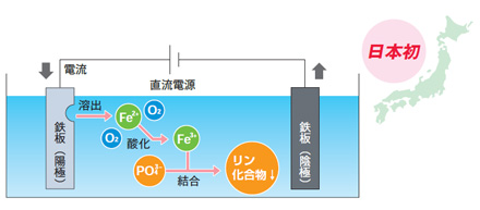 業界唯一のし尿系排水対応・認定浄化槽