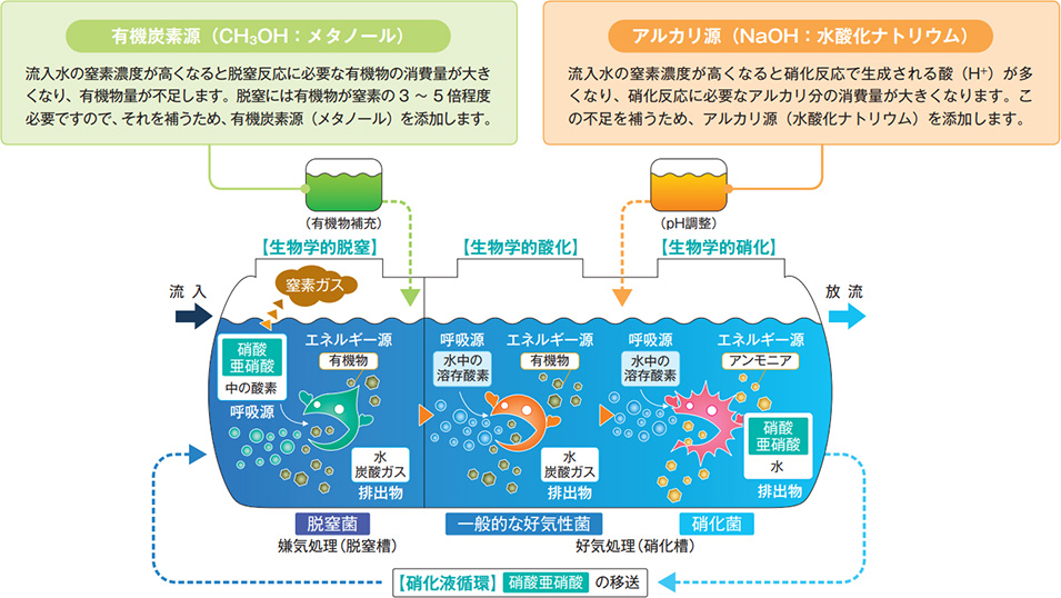 生物学的硝化脱窒素法のしくみ