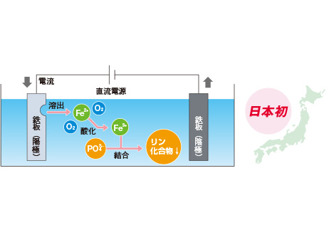 鉄電解法によるリン除去メカニズム