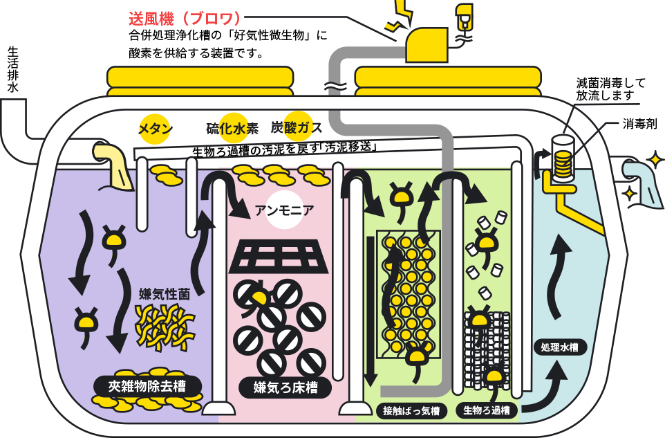 浄化槽断面図