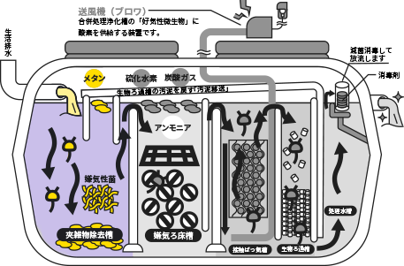 浄化槽断面図