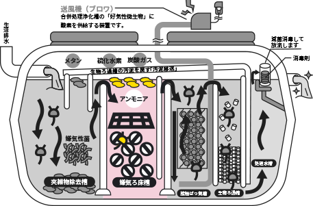 浄化槽断面図