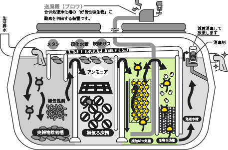 浄化槽断面図