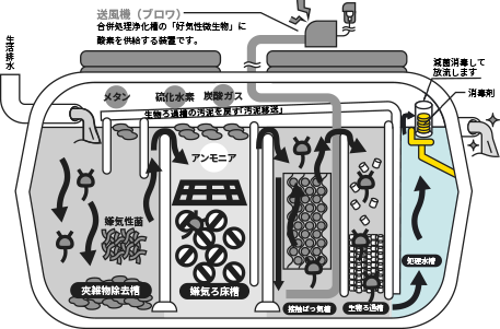 浄化槽断面図