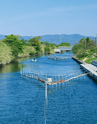 ニホンウナギの棲む川を目指して